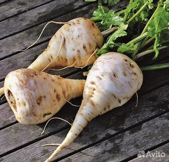 Пастернак с доставкой по России