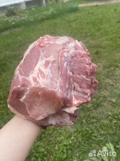 Свежее мясо