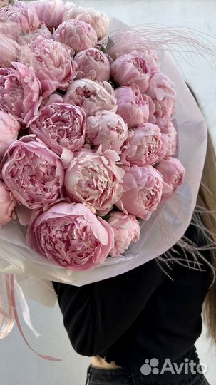 Букет пионов. Доставка в аквабоксе