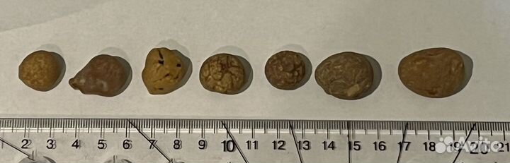 Янтарь самородок 7 штук