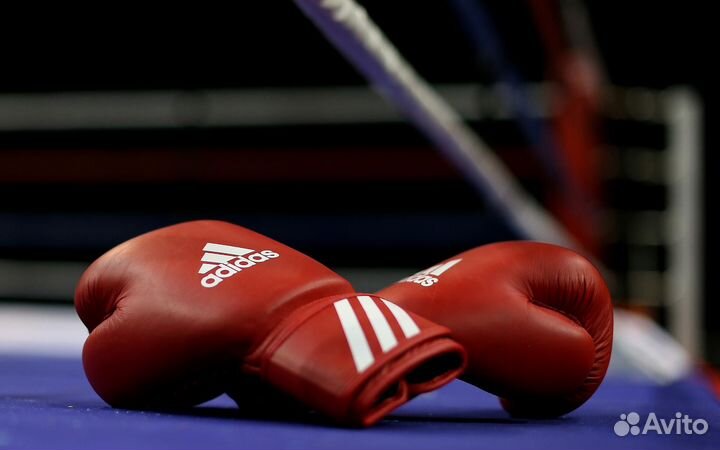 Тренер по боксу