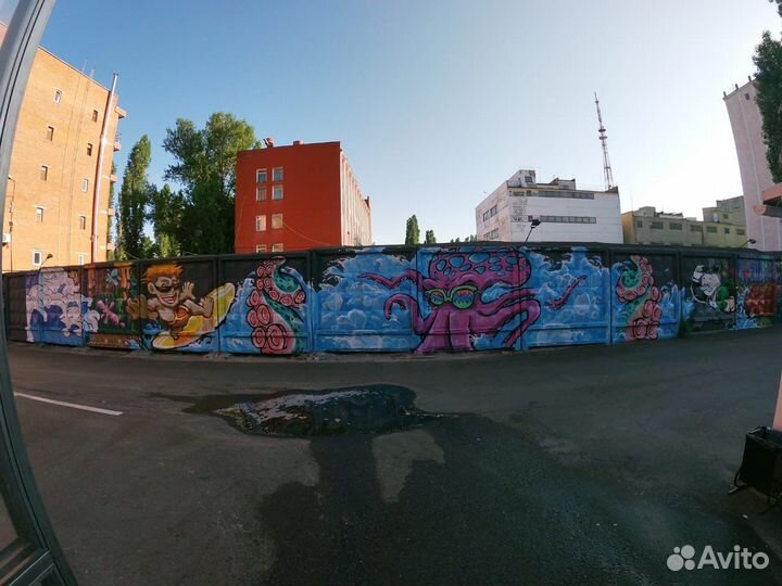 Художественная роспись стен, картины на заказ