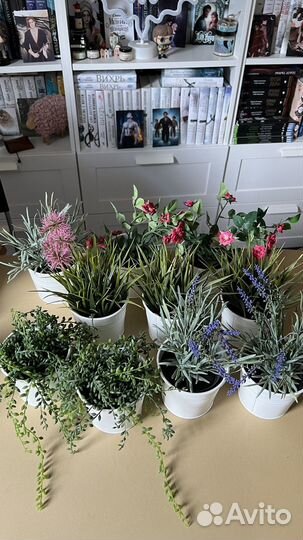 Декоративные растения IKEA кашпо socker