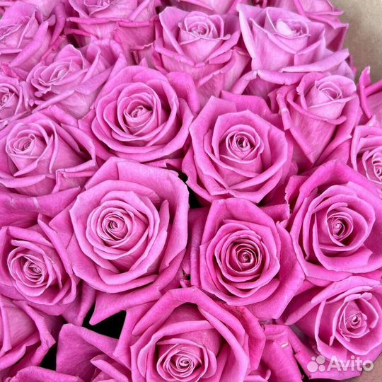 Розы цветы доставка