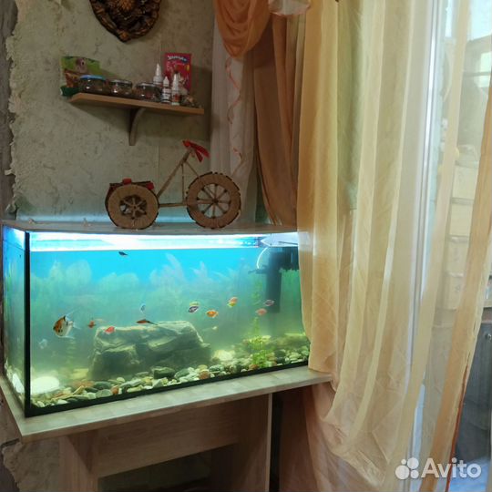 Аквариум с тумбой 200 литров