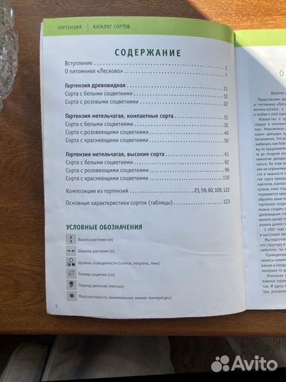 Каталог сортов гортензия