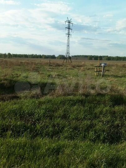 Участок 10 сот. (ИЖС)