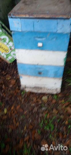 Ульи, раманосы и рамки