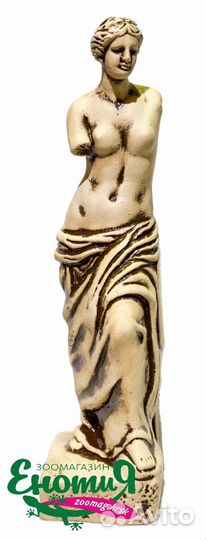 Декорация Венера