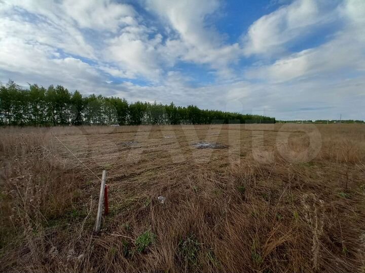 Участок 10 сот. (ИЖС)