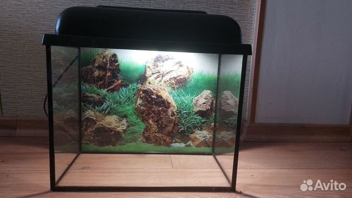Аквариумы + оборудование