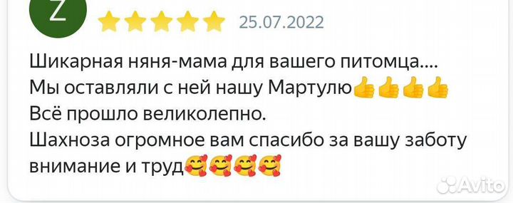 Передержка для собак и кошек