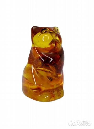 Кот прусский