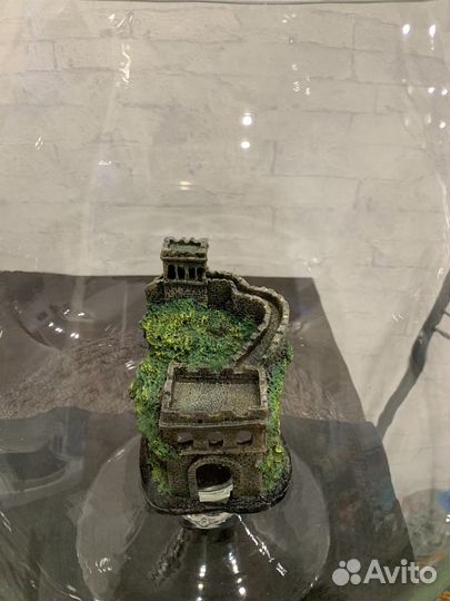 Аквариум - бокал для рыбок