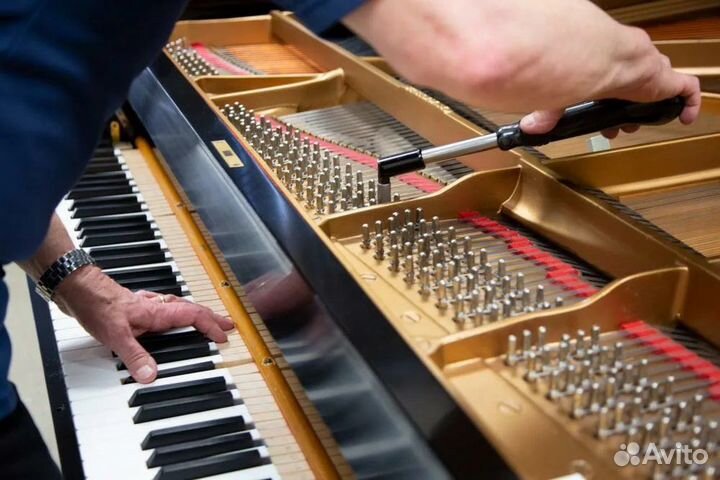 Настройка фортепиано