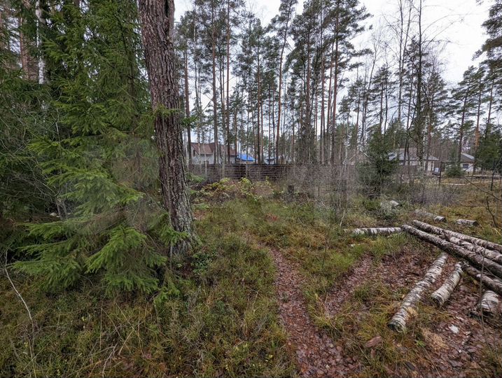 Участок 10,7 сот. (СНТ, ДНП)