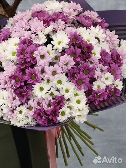 Хризантема