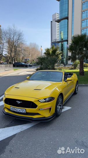 Аренда кабриолет в Сочи Ford Mustang желтый