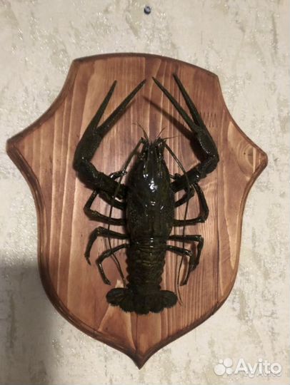 Чучело рака