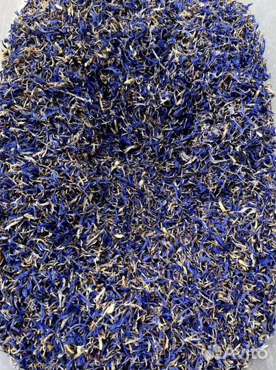 Василек лепестки