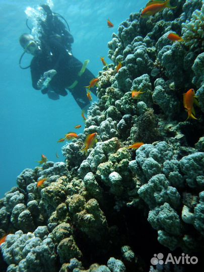 Фотоаппарат для подводной съемки