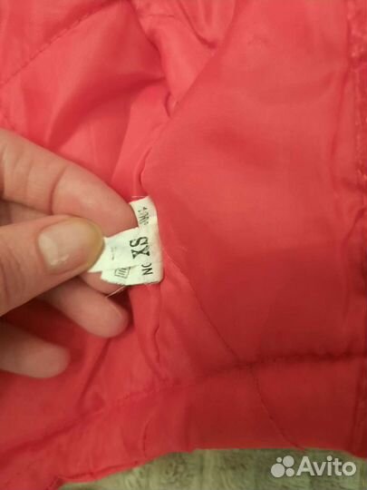 Одежда для собак мелких пород