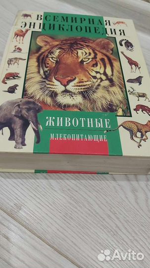 Энциклопедия