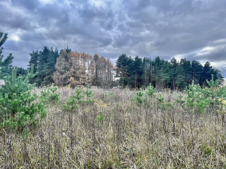 Участок 15 сот. (ИЖС)