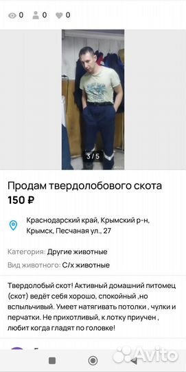 Урод в театр