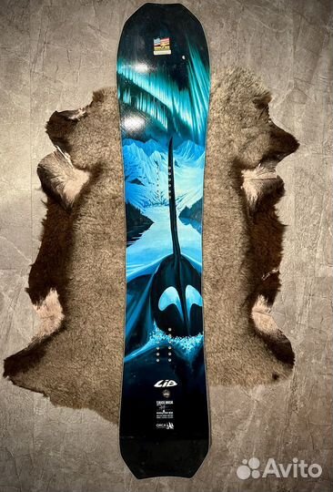 Сноуборд Lib Tech Orca 147, 156, 162 2024