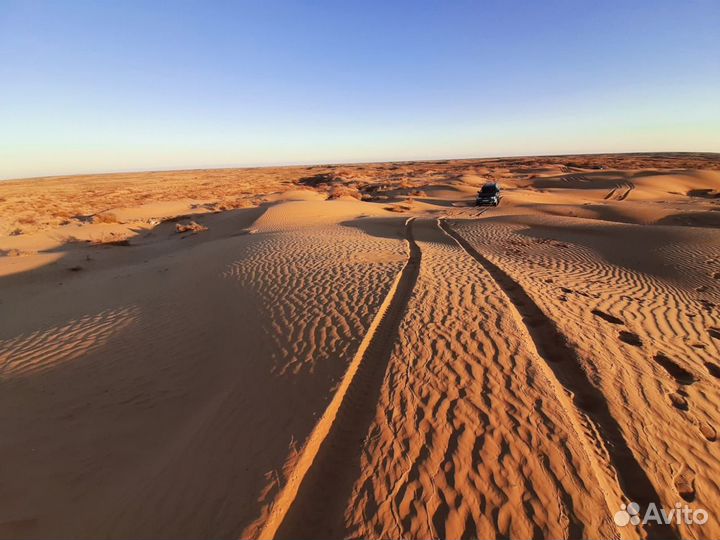 Экскурсии на бархан Большой брат