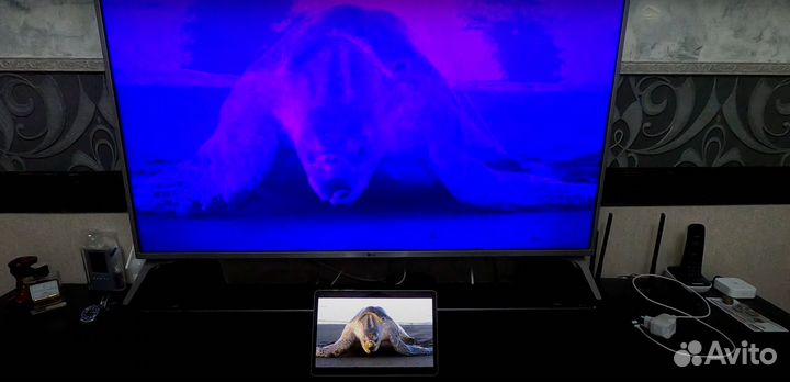 Ремонт телевизоров в Новокосино