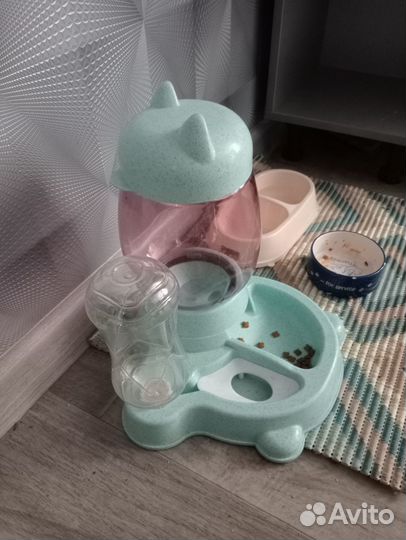 Котенок мальчик