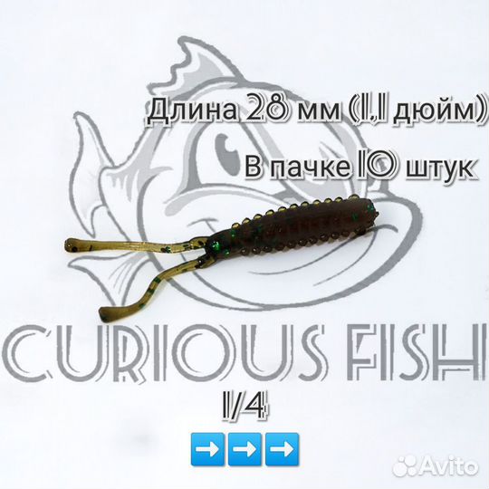 Curious Fish Maria Sea Monkey 1,1 дюйм (28мм)