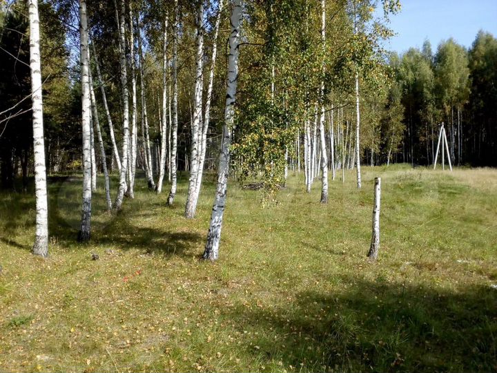 Участок 20 сот. (ИЖС)