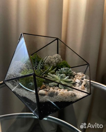 Флорариум с суккулентами
