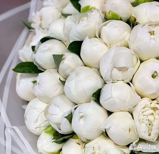 Пионы Розы Доставка