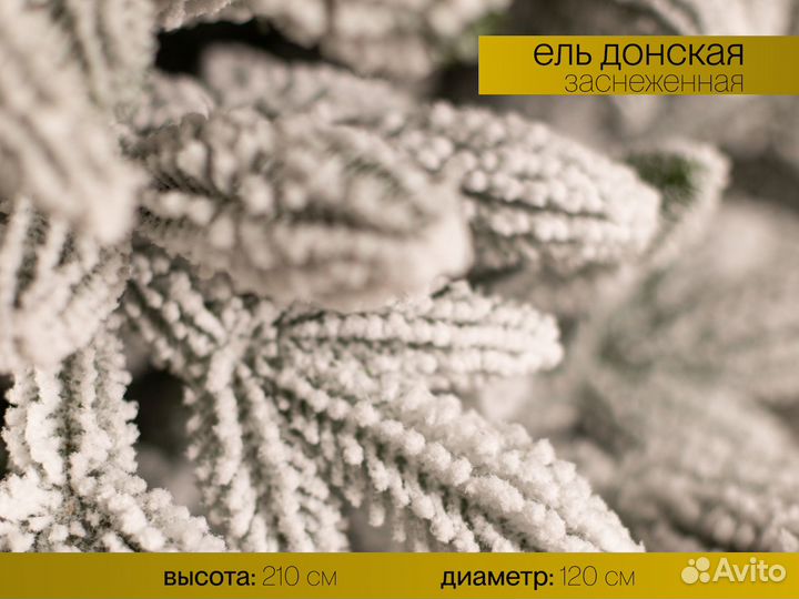 Донская, елка литая заснеженная 210 см ёлушка