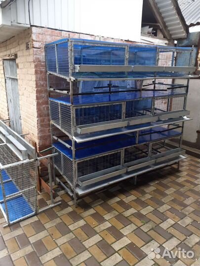 Клетки для кур несушек