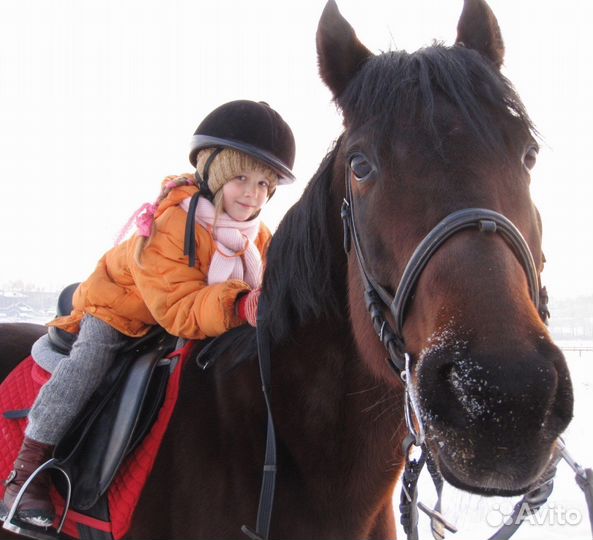 Конные прогулки и фотосессии,подароч-сертификаты