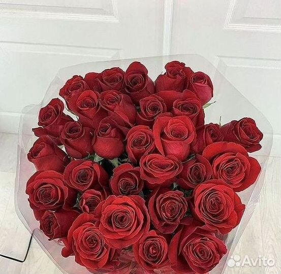 Розы Высокие 150см 160см 170см 180см 190см 2м