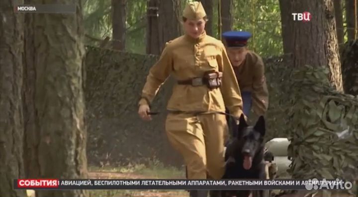 Вязка кобель