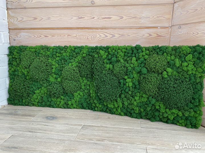 Панели из стабилизированного мха