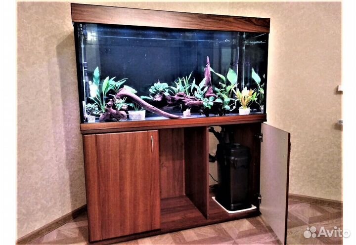 Аквариум