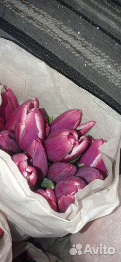 Тюльпаны букет