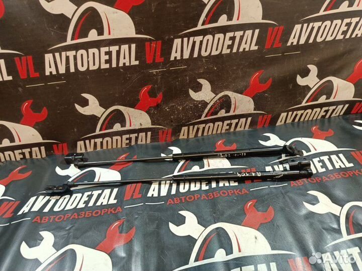 Упоры капота Kia Sorento BL D4CB 2002