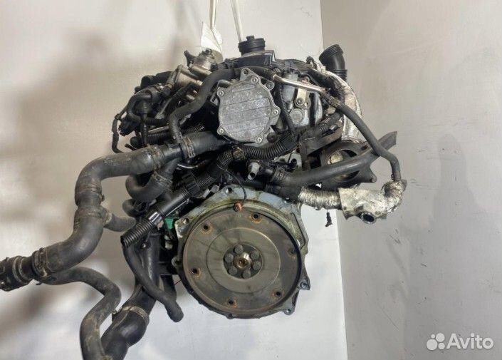 Двигатель Volkswagen Passat B6 2.0 бензин