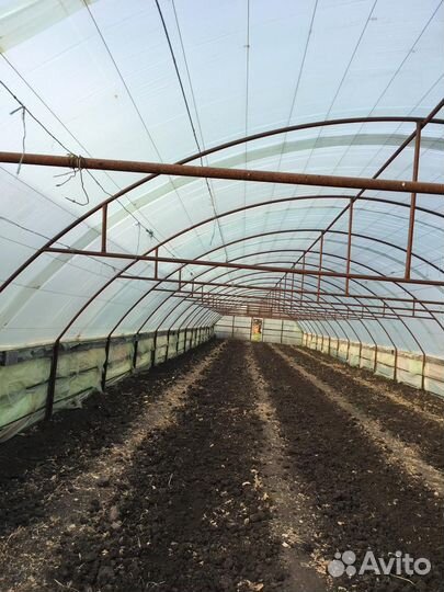 Парники теплицы бу