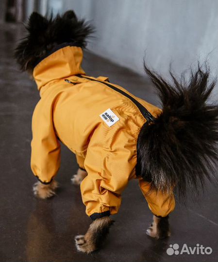 Комбинезон для собаки