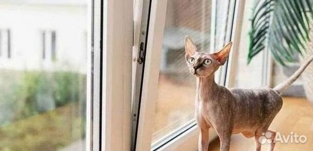 Окна пластиковые быстро под ключ